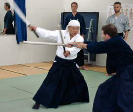 Unsui Sensei demonstrating Nito-jutsu
